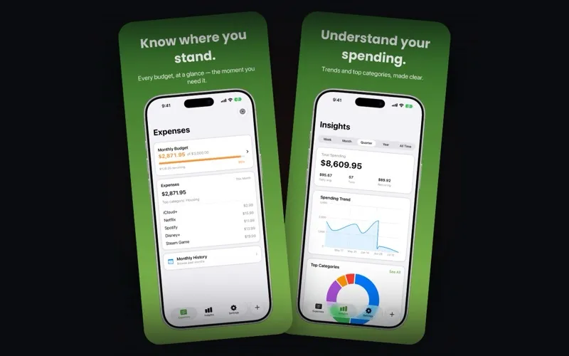 Simple Self Budget — preview